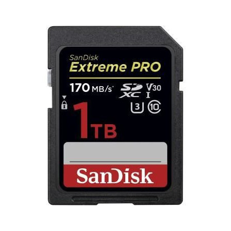 Carte mémoire flash - SANDISK - - 1TB - - (SDSDXXY-1T00-GN4IN)