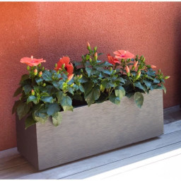 5 cm - Gris anthracite