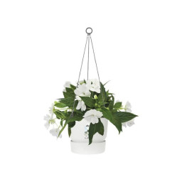 3 cm - Blanc