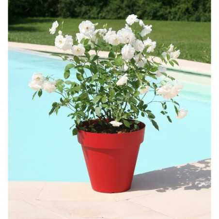 Pot de fleurs - RIVIERA - Soleilla Rond - Ø 49 x 44,8 cm - Rouge