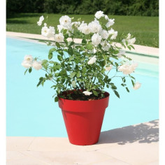 RIVIERA Pot de fleurs Soleilla - Rond - Ø 60 x 53