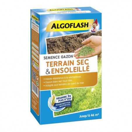 Gazon terrain sec ensoleillé 1kg - Haute résistance a la sécheresse - Jusqu'a 46 m² - ALGOFLASH