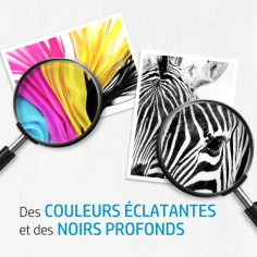 jaune et magenta authentiques (6 jaune et magenta authentiques (6