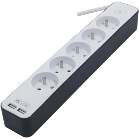CHACON Bloc multiprise 5 prises 16 A avec 2 ports USB et câble 1