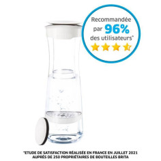 BRITA Bouteille filtrante FILL&SERVE 1