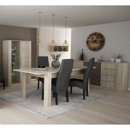 DEMEYERE Ensemble Séjour Table a manger 170 cm + Enfilade 2 portes + Vitrine 1 porte