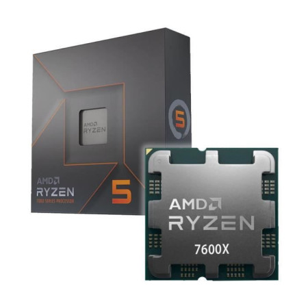 Processeur - AMD - Ryzen 5 7600X - Socket AM5 - 4