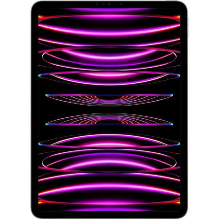 Apple - iPad Pro (2022) - 12.9 - WiFi - 2 To - Gris Sidéral