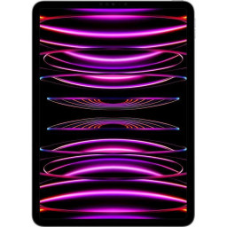 Apple - iPad Pro (2022) - 11 - WiFi + Cellular - 2 To - Gris Sidéral