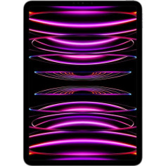 Apple - iPad Pro (2022) - 11 - WiFi + Cellular - 2 To - Gris Sidéral