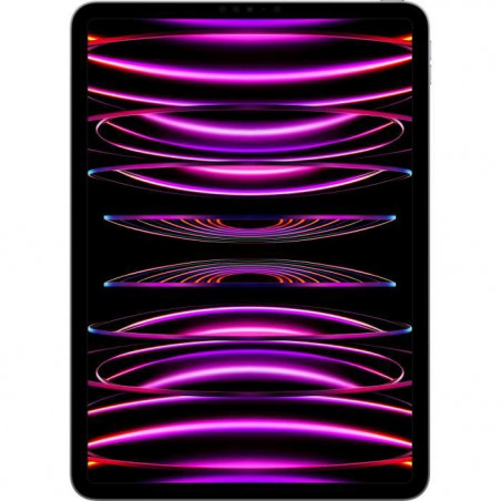 Apple - iPad Pro (2022) - 11 - WiFi + Cellular - 2 To - Gris Sidéral