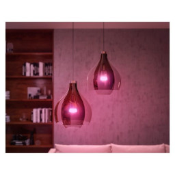5W - Lot 2 E27 - Télécommande Hue