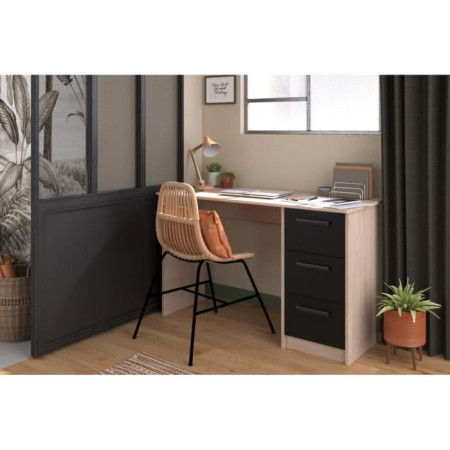4 x P 55 x H 74.5 cm - ESSENTIELLE