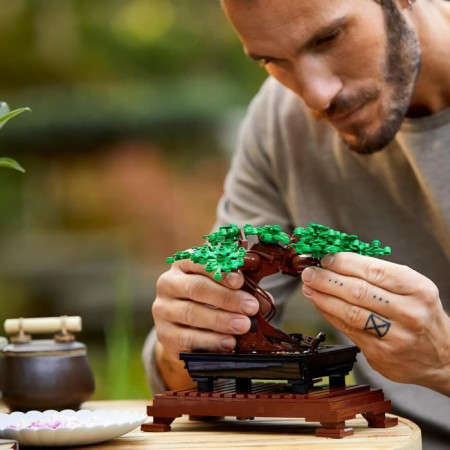  Kit Bonsai