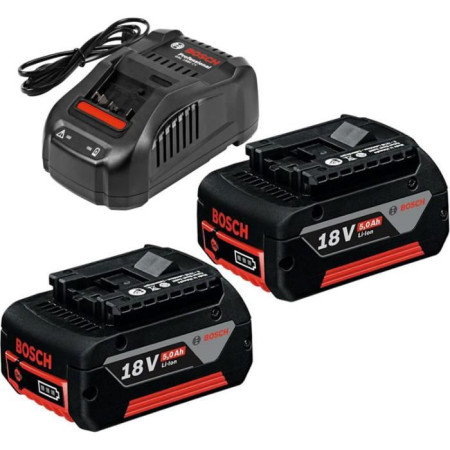Set 2 batterieS Bosch Professional GBA 18V 5