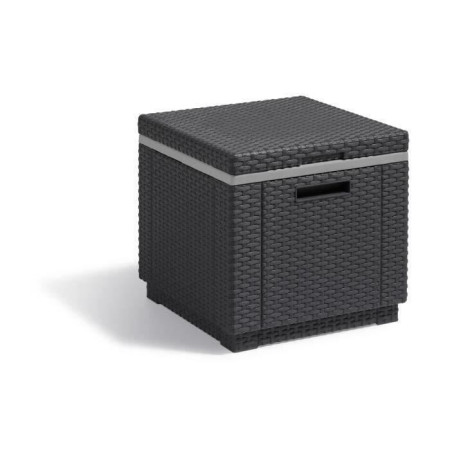 Glaciere Ice Cube Graphite - ALLIBERT by KETER - 40L - Design rotin - Facile a transporter