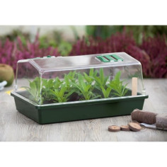 Mini serre terrine et couvercle ventilé 37x24x18 xm Mini serre terrine et couvercle ventilé 37x24x18 xm