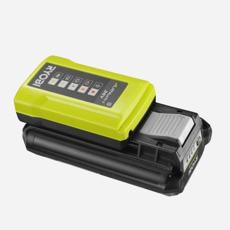 RYOBI - 1 batterie lithium+ 36V MAXPOWER 2,0 Ah et 1 chargeur standard 1,7 A - RY36BC17A-120