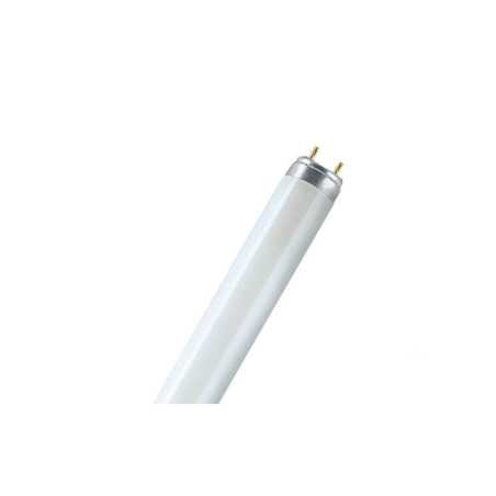 Tube fluo lumilux T8 58W/840-150cm FT*