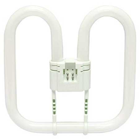 Lampe fluocompa Square 28W/835 4 pin