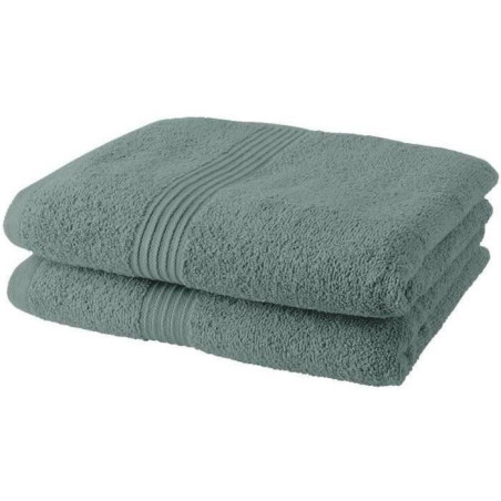 TODAY Essential - Lot de 2 Serviettes de Toilette - 50 x 90 cm - 100 % Coton - Celadon