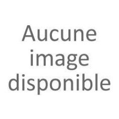 Visseuse a chocs Bosch Professional GDR 12V-110 + 2 batteries 3 Visseuse a chocs Bosch Professional GDR 12V-110 + 2 batteries 3