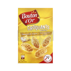 BOUTON D'OR Biscuits croquants à l'emmental oignon 100g Antananarivo Madagascar
