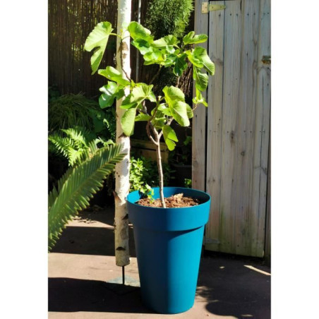 Pot de fleurs - RIVIERA - SOLEILLA - Plastique - H52 x D39 cm - Bleu