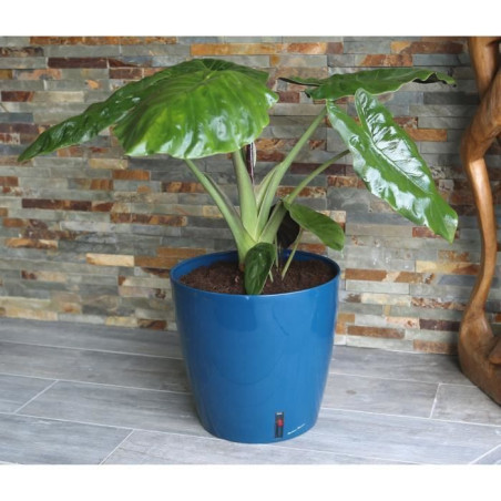 Pot de fleurs rond - RIVIERA - EVA NEW - Plastique - D30 x H27,5 cm - Bleu