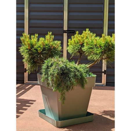 Bac a fleurs carré - RIVIERA - SOLEILLA - Plastique - 49x49x45 cm - Vert argile
