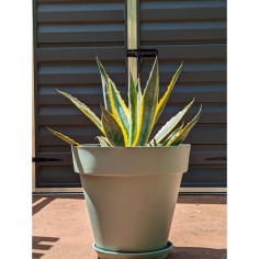 Bac a fleurs rond RIVIERA SOLEILLA - Plastique - Diametre 50 cm - Vert argile Bac a fleurs rond RIVIERA SOLEILLA - Plastique - Diametre 50 cm - Vert argile