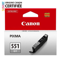 CANON Cartouche d'encre CLI-551GY Gris