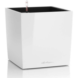 Pot de fleur LECHUZA Cube Premium 40 - kit complet