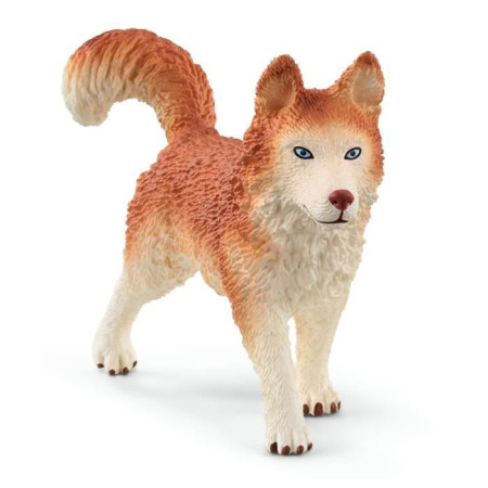  Schleich 42558 Wild Li