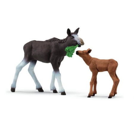  animaux sauvages