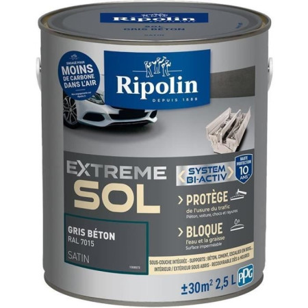 RIPOLIN PROTECTION EXTREME SOL GRIS BETON RAL 70 SATIN 2