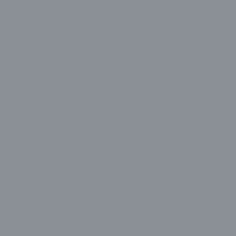 5L - Gris Zinc - Ripolin