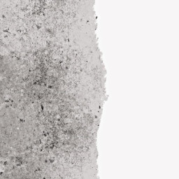 5L Ripolin