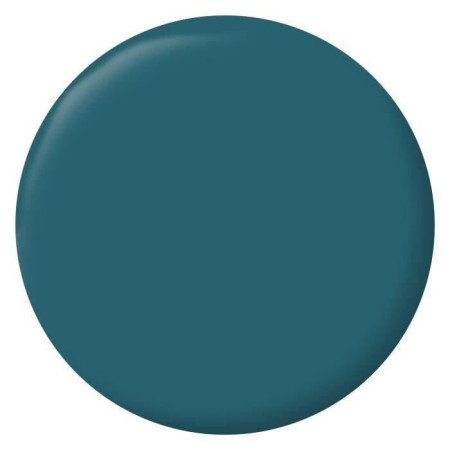  Boiseries Radiateurs - Bleu Ainhoa