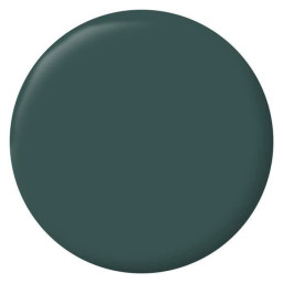  Boiseries Radiateurs - Vert Armerie