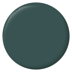  Boiseries Radiateurs - Vert Armerie