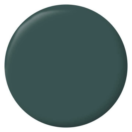  Boiseries Radiateurs - Vert Armerie