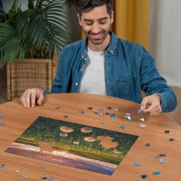  Puzzle de qualité supérieure