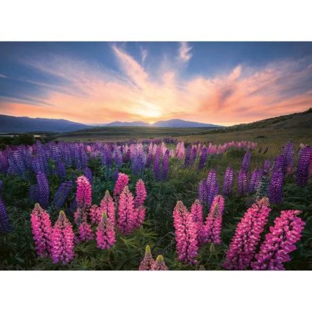 Puzzle 500 pieces Les lupins (Nature edition)