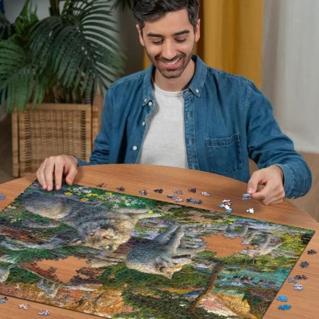  Puzzle de qualit
