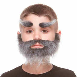 Fausse barbe My Other Me Gris
