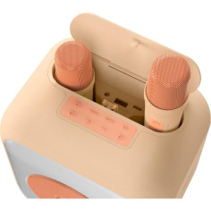  2 micros sans fil USB-C
