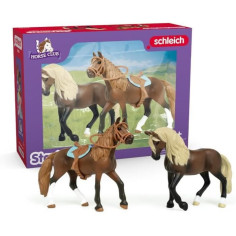 Mes Premiers chevaux Paso Péruvien