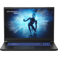 Ordinateur Portable Medion ERAZER DEFENDER P40 17" 16GB RAM 1TB SSD Espagnol Qwerty