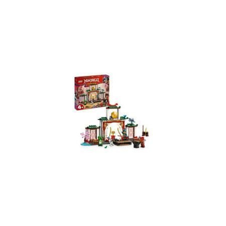 LEGO NINJAGO 71831 Le temple de Spinjitzu des Ninjas - Jouet dragon pour enfants des 4 ans